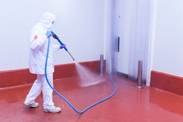 Best Roof Washing  in Spirit Lake, ID