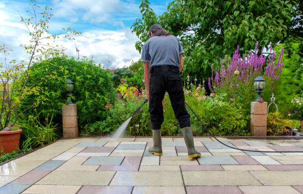 Best Animal Enclosure Cleaning  in Spirit Lake, ID
